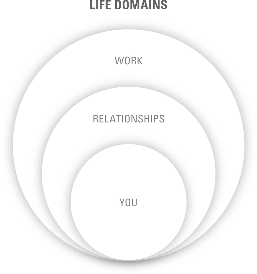 Life Domains