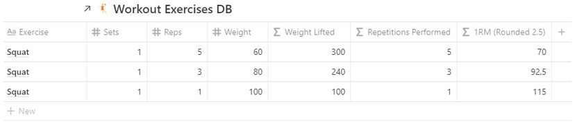 Squats entered in the workout exercises database.